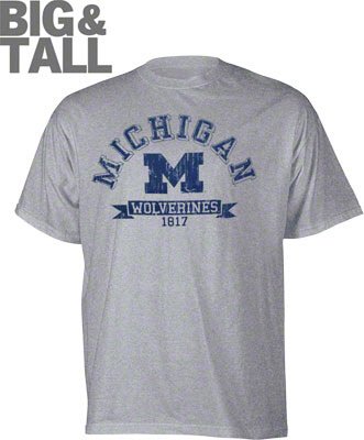 Gray Big and Tall Michigan Wolverines Logo T-Shirt