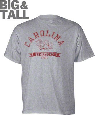 Big and Tall Distressed South Carolina T-Shirt