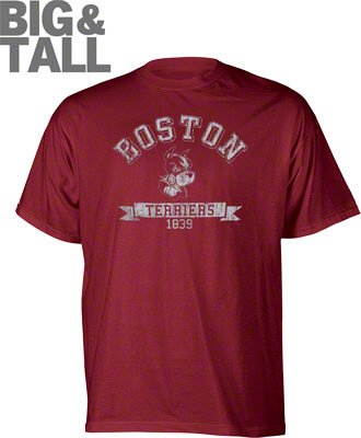 Big and Tall Boston College Eagles Distressed T-Shirt