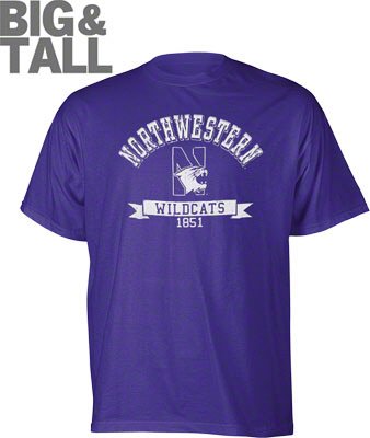 Big and Tall Northwestern Wildcats T-Shirt